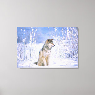 Toile Loup de bois assis dans la neige, Canis lupus,