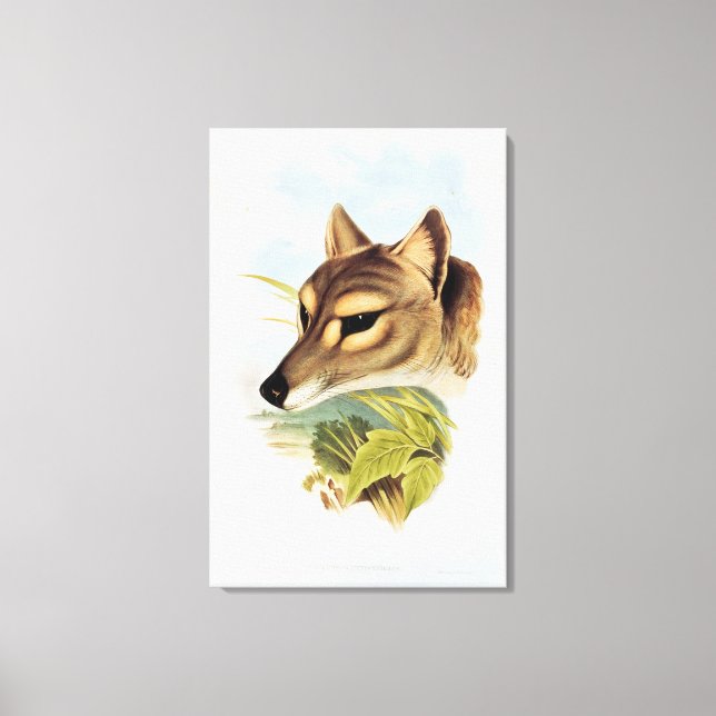 Toile Loup de Tasmanie ou tigre (Recto)
