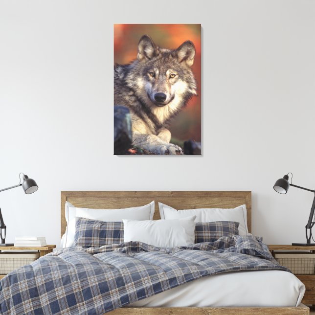 Toile Loup gris enveloppé (Insitu(Chambre))
