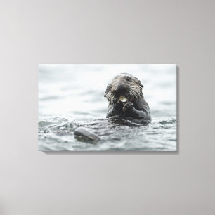 Toile Loupe de mer adorable