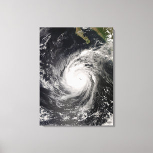 Toile L'ouragan Norbert au Mexique