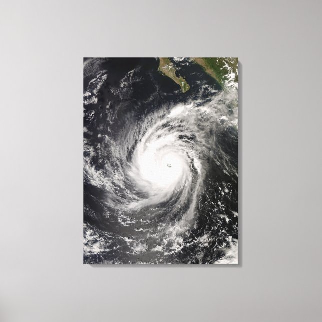 Toile L'ouragan Norbert au Mexique (Recto)