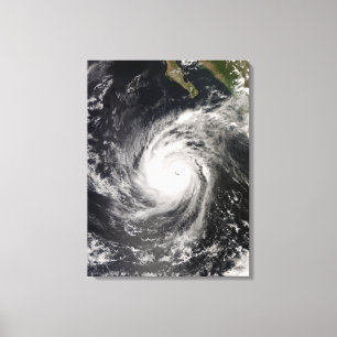 Toile L'ouragan Norbert au Mexique