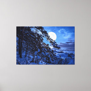 Toile Lune sur le sapin enneigé et la côte de la mer la 