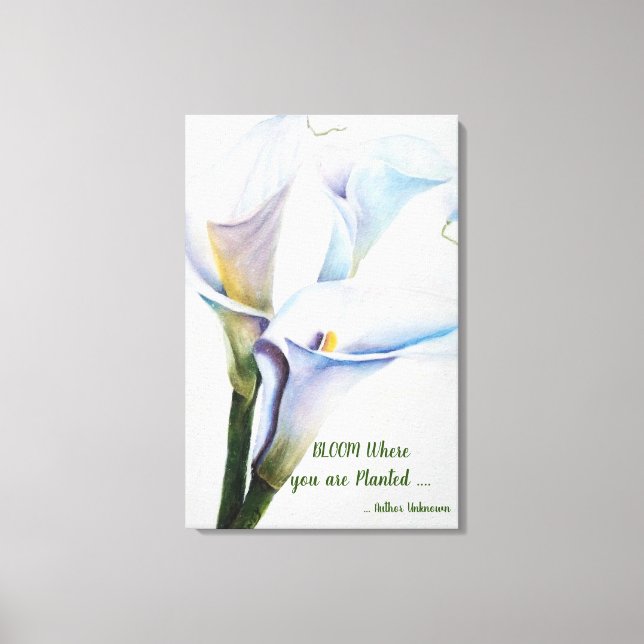 Toile Lys Calla blanc en aquarelles (Recto)