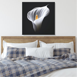 Toile Lys Calla Blanc Sur Noir