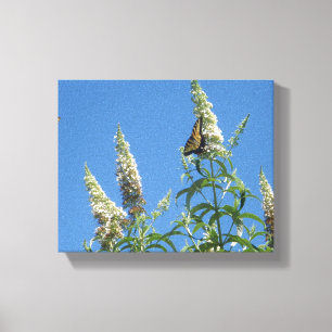 Toile Machaons de tigre sur le papillon Bush