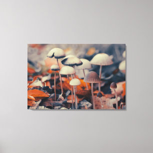 Toile Macro champignons