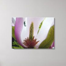 macro de fleur magnolia