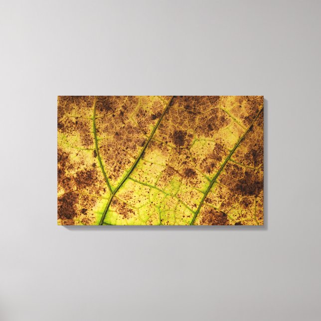 Toile Macro-feuille Jaune et Mort Brown (Recto)