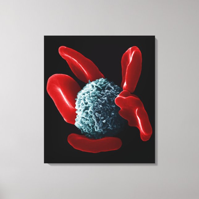 Toile Macrophage (Recto)