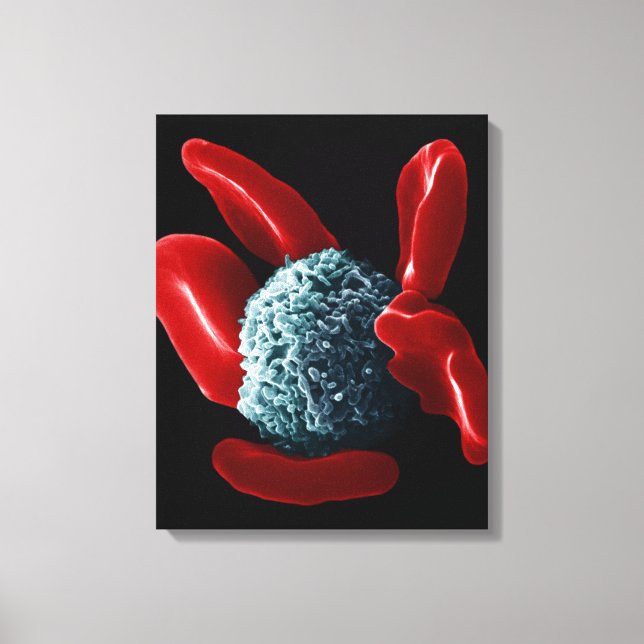 Toile Macrophage (Recto)