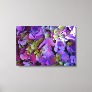 Toile Magenta Purple bleu jaune Hydrangeas fleurs