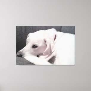 Toile Magnifique Chien Blanc Élégant Exquis