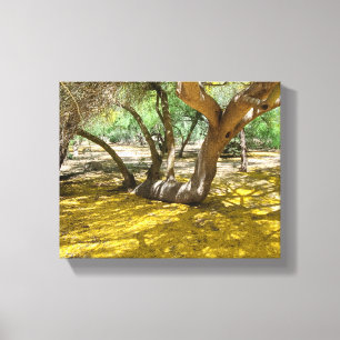 Toile Magnifique Palo Verde Jaune