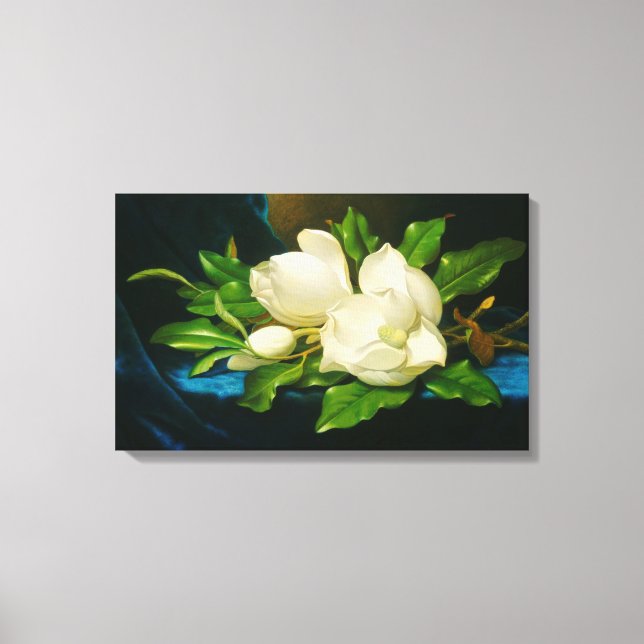 Toile Magnolias géant sur un tissu de velours bleu (tête (Recto)