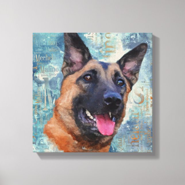 Toile Malinois - Berger belge - Mechelaar (Recto)