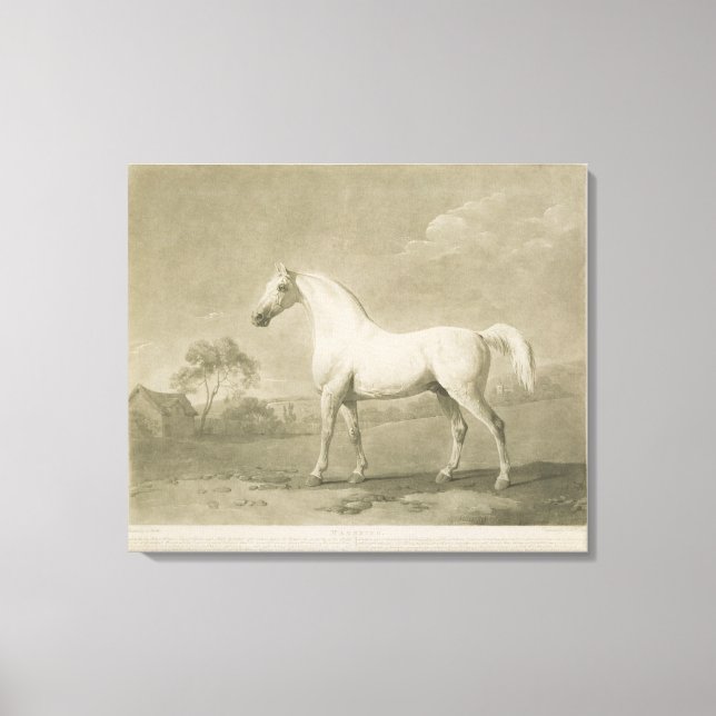 Toile Mambrino, après George Stubbs, 1788 (mézzotint) (Recto)