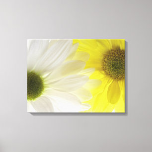 Toile Marguerite jaune et blanc