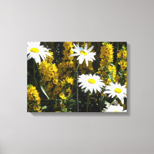 Toile Marguerites blanches brillantes
