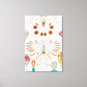 Toile Marine Life Crustacés, Copepoda par Ernst Haeckel