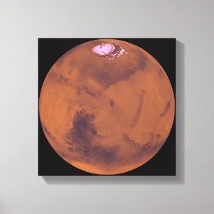 Toile Mars 6