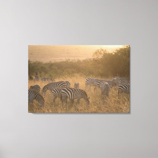 Toile Masai Morning Zebras Enveloppé (Recto)