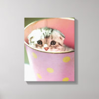 Masque de chaton