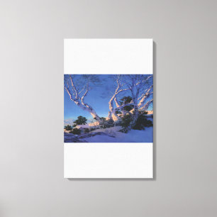 Toile Maxfield Parrish - Birds en hiver