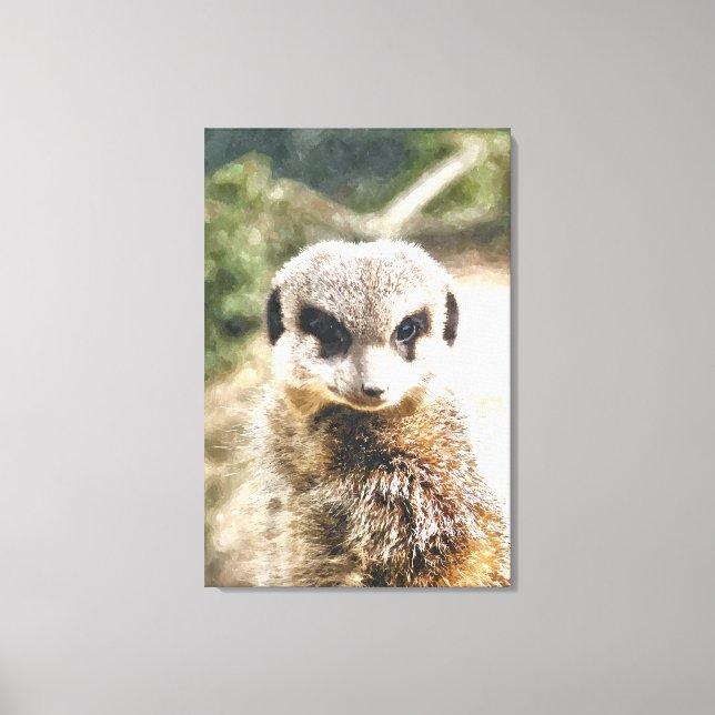 TOILE MEERKAT (Recto)