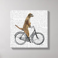 Meerkat à vélo