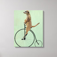 Meerkat sur Black Penny Farthing