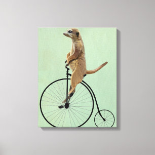 Toile Meerkat sur Black Penny Farthing