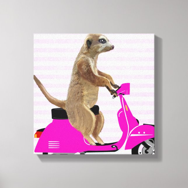 Toile Meerkat sur Pink Moped (Recto)