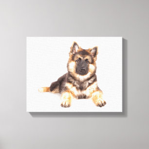 Toile Mélange de berger allemand de Collie Bordure