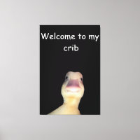 Meme de Canard Drôle : Bienvenue dans mon Repaire