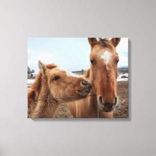 Toile Mère Cheval et poulain