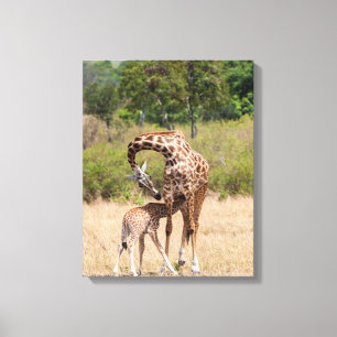 Toile Mère girafe et bébé au Kenya