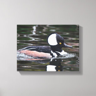 Toile Merganser Merganser Baigné Par