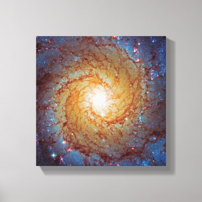 Toile Messier 74 Galaxie Spirale Photo Espace (Recto)