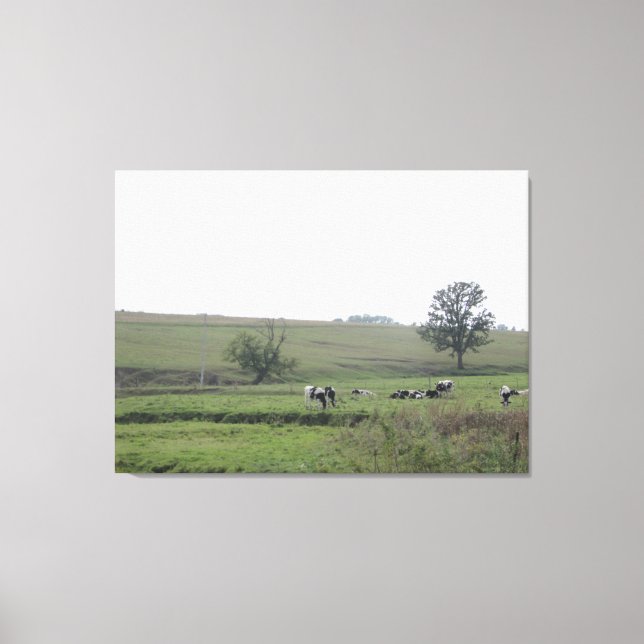 Toile Midwest Farm Vaches laitières Photographie Wall Ar (Recto)