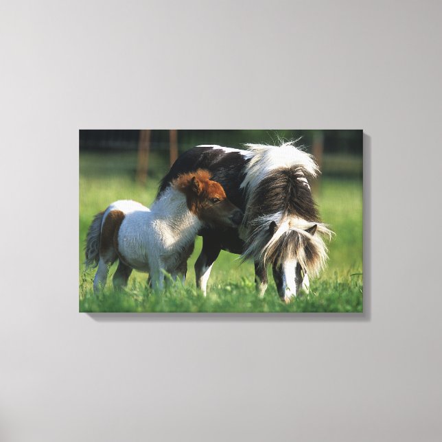Toile Miniature Mare & Foies 2 (Recto)