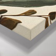 Modern Boho Botanical Abstract Wall Art