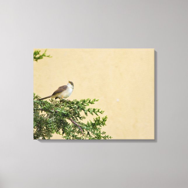 Toile Moineau (Recto)