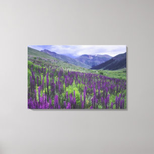 Toile Montagnes et fleurs sauvages dans un pré alpin, 2