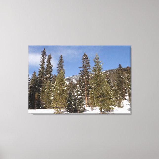 Toile Montana Mountain Trails in Winter Landcape Photo (Recto)