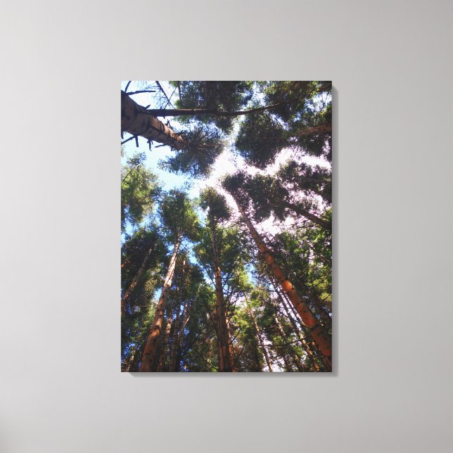 Toile Monter (Recto)