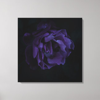 Toile Moody Purple Rose