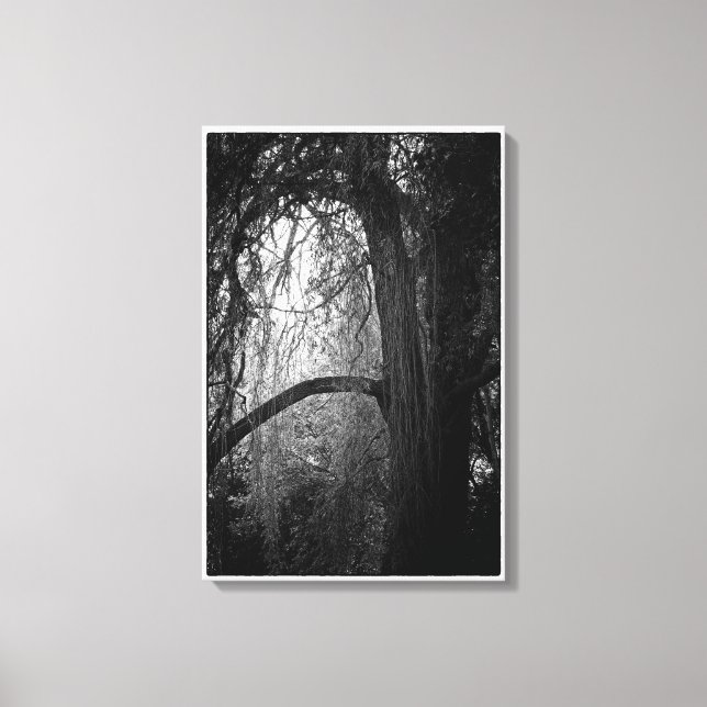 Toile Moody Willow Tree Photo paysage noir et blanc (Recto)