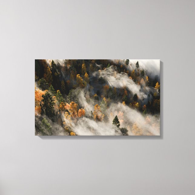 Toile Morning Mist (Recto)
